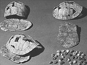 Writings on tortoise shells discovered in modern China were dated ca 6600 BC.